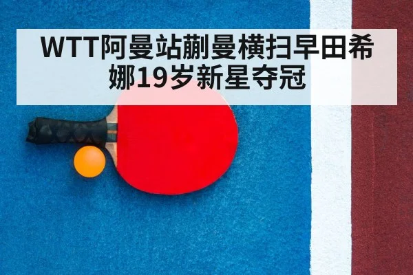 table tennis racket