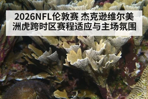 2026NFL伦敦赛 杰克逊维尔美洲虎跨时区赛程适应与主场氛围